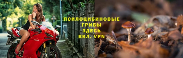 эйфоретик Аркадак
