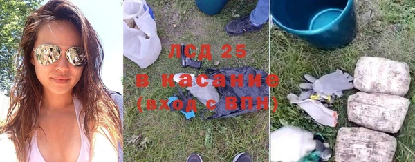 эйфоретик Аркадак