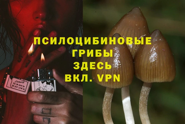 эйфоретик Аркадак