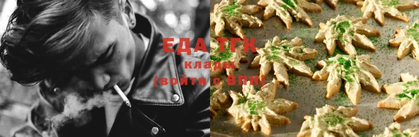 эйфоретик Аркадак