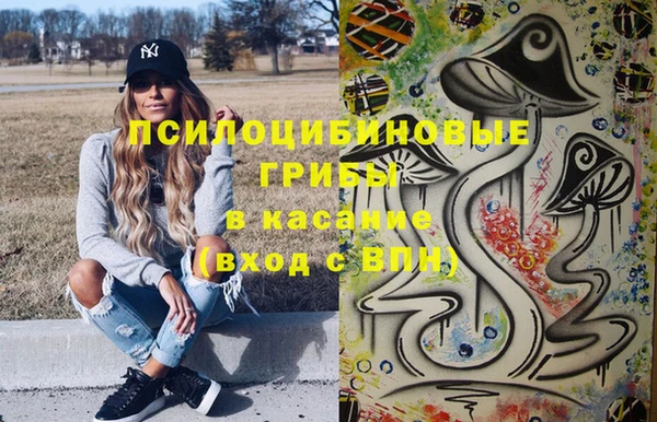 прущий лед Арсеньев