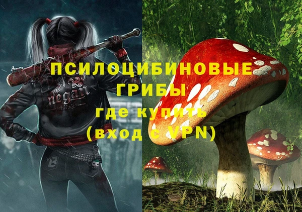 прущий лед Арсеньев