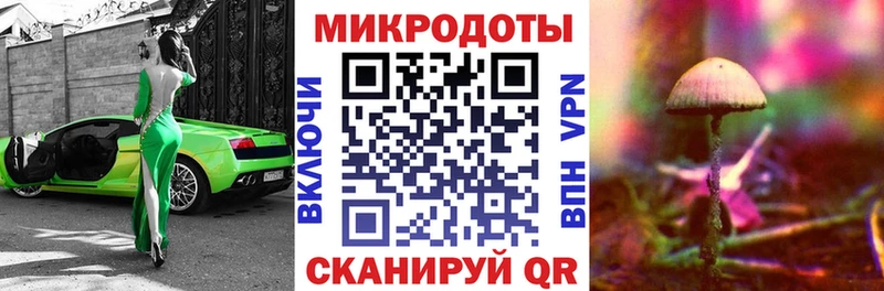 Псилоцибиновые грибы мицелий  сколько стоит  Пыталово 